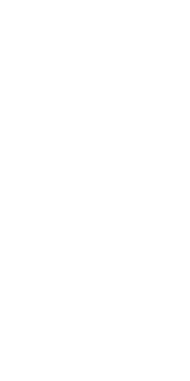 Half globe gradient image